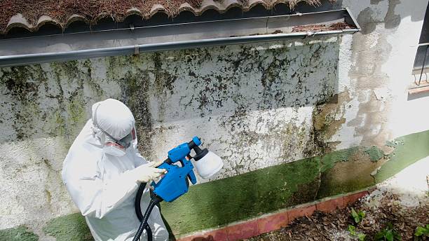 Top rated local Crawl Space Mold Remediation specialists in Oakland, TN